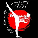 Logo ast en ête web